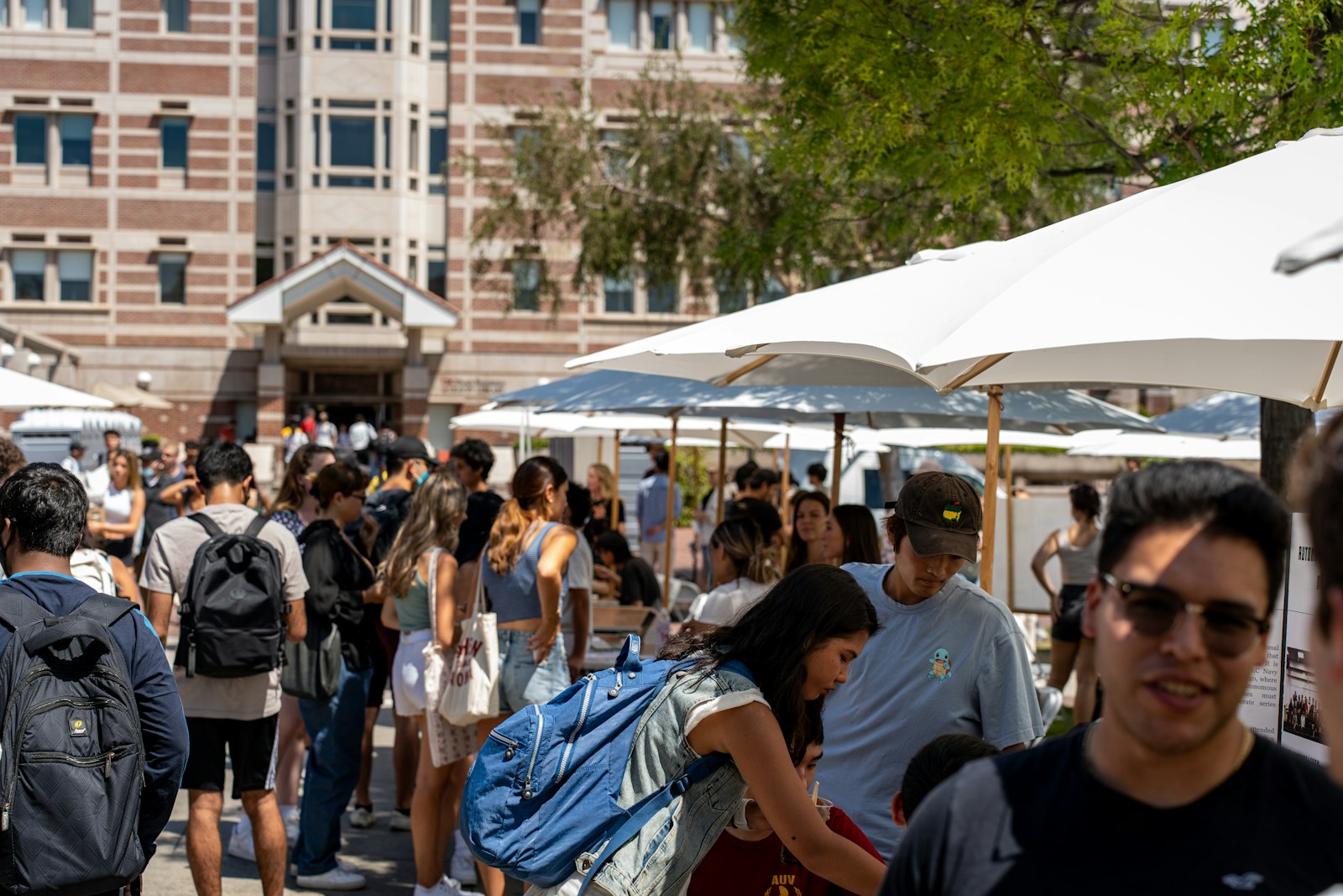 A sunny outdoor campus festival crowd in Northridge