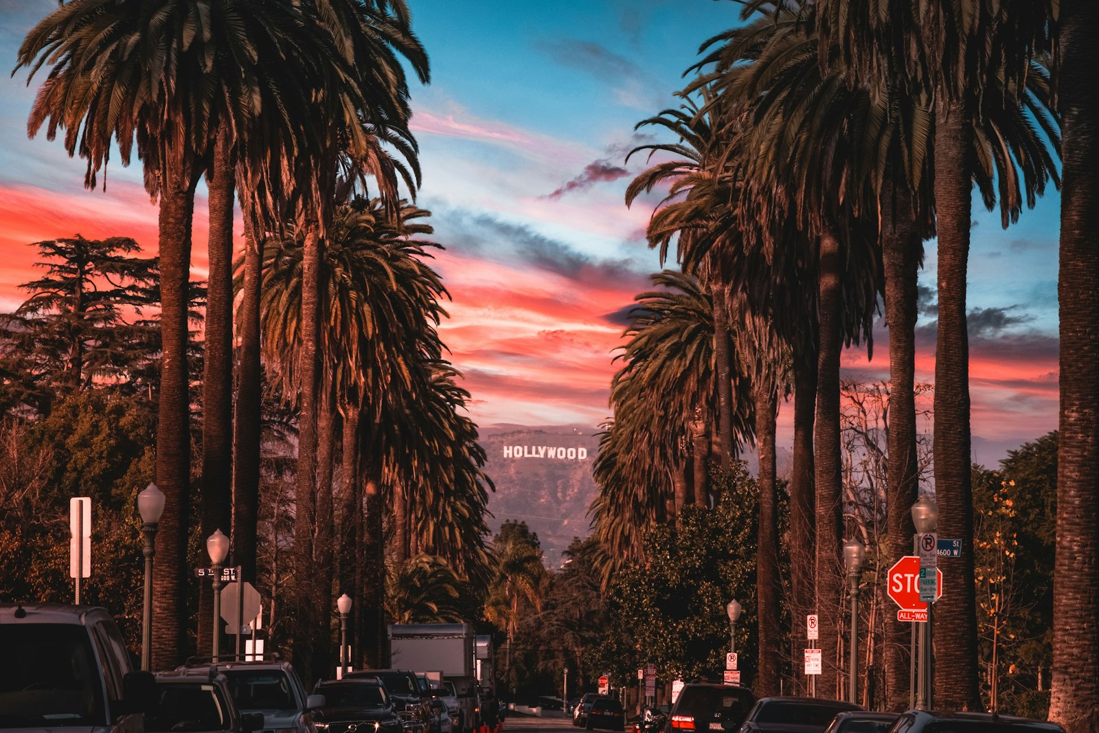 Palm-lined street at sunset, shared by a visitor