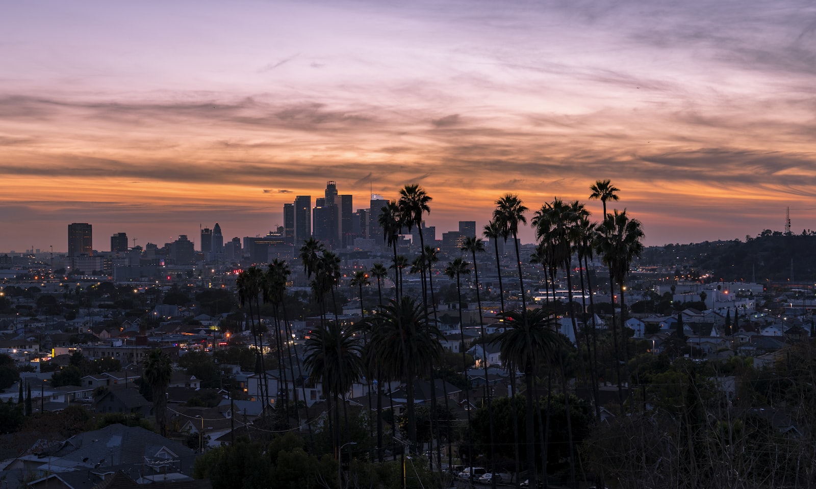 Palm trees silhouetted against a golden sunset over the San Fernando Valley