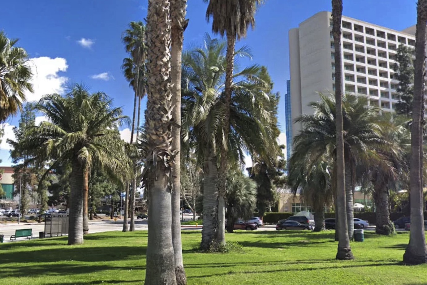 Palm trees and lawn in front of the Warner Center Marriott high-rise